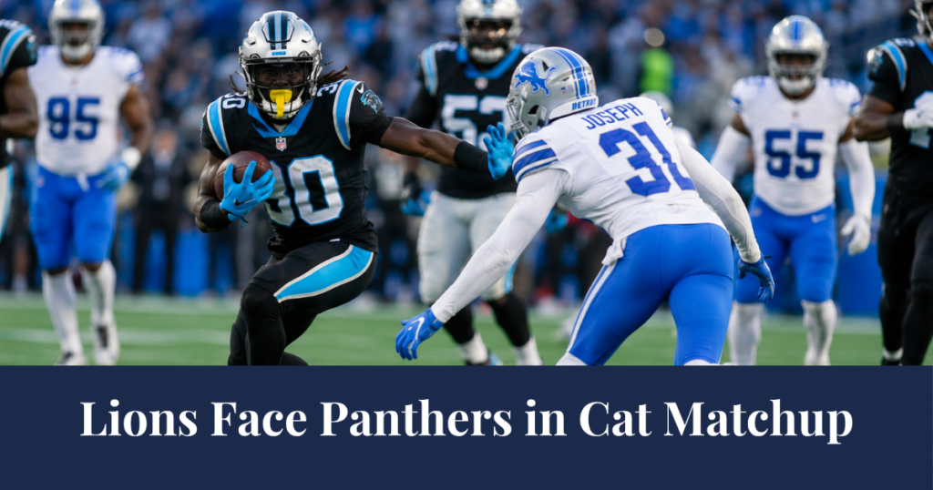 Lions Vs Panthers