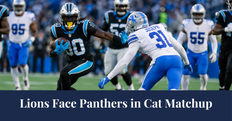 Lions Vs Panthers